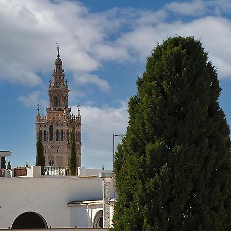 Apartamento Casa Pilatos Sevilla Dış mekan fotoğraf