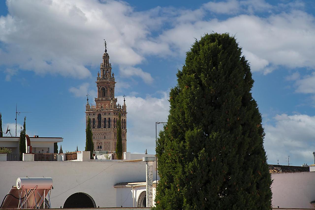 Apartamento Casa Pilatos Sevilla Dış mekan fotoğraf
